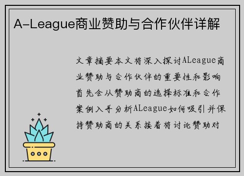 A-League商业赞助与合作伙伴详解