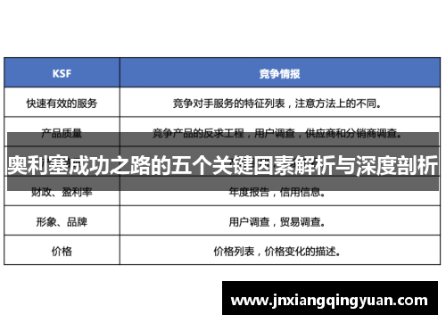 奥利塞成功之路的五个关键因素解析与深度剖析