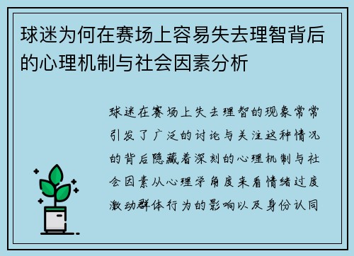 球迷为何在赛场上容易失去理智背后的心理机制与社会因素分析